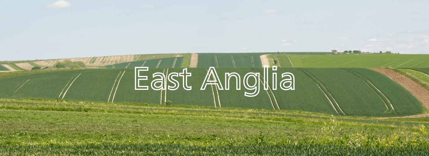 Image of East Anglia Skyline Farmland